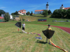 IMG_20220604_111054