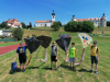 IMG_20220604_120535