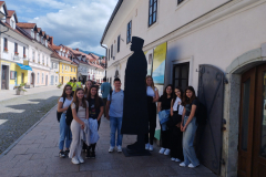KAMNIK IN SNOVIK, JUNIJ 2024