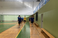 Tekmovanje v nogometu (področno)