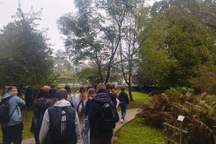 VRT SPOMINOV IN TOVARIŠTVA NA PETANJCIH 